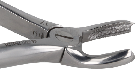 Berten type extraction forceps PLUS - 17 upper molars