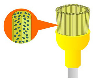 Gold occlusal brushes Stoddard without paste usage|autoclavab. up to 20x - cup (10 pcs.)