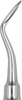 Bein root elevator left