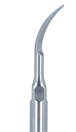 Ultrasonic scaler tip for PERIO Woodpecker P1 (EMS)